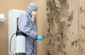 Best Dehumidification Services  in Pleasanton, CA